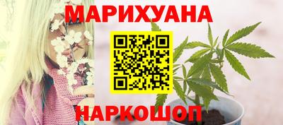 Альфа ПВП Обь