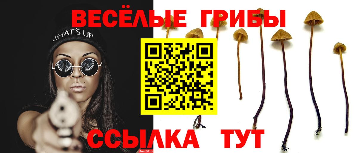 Псилоцибиновые грибы Cubensis  дарнет шоп  Алапаевск  Вход с VPN 