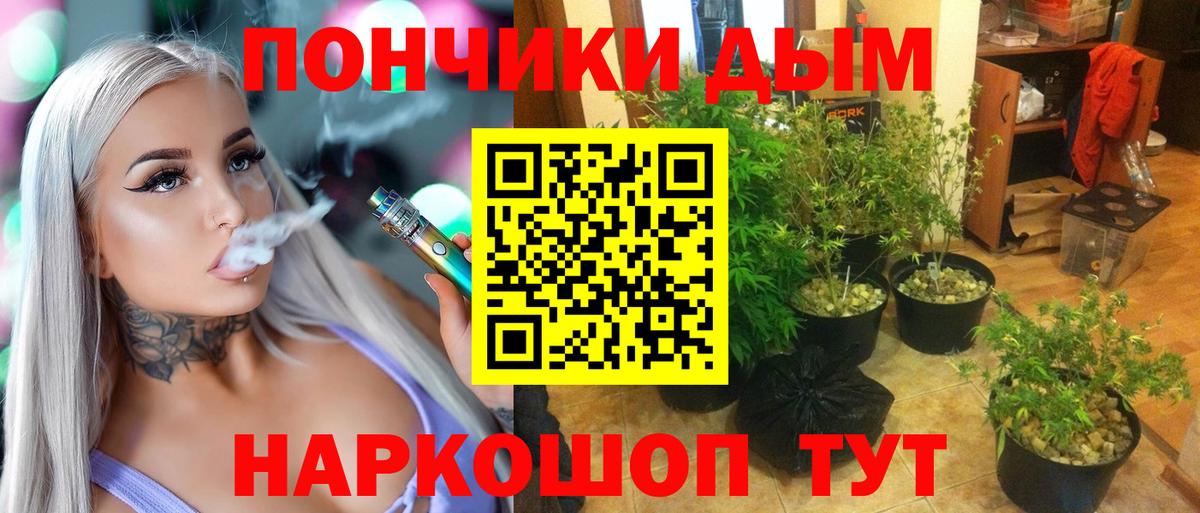Алапаевск  Конопля White Widow  Бошки Шишки индика  Бошки марихуана план  Каннабис White Widow  Вход с VPN 